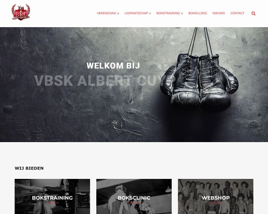 Boks Team VBSK Albert Cuyp Logo