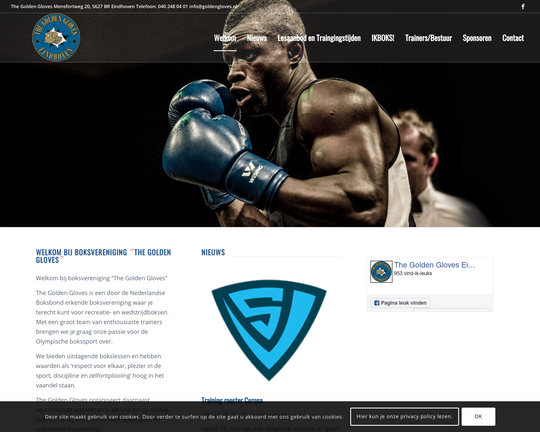 BoksverenigingTheGoldenGloves Logo
