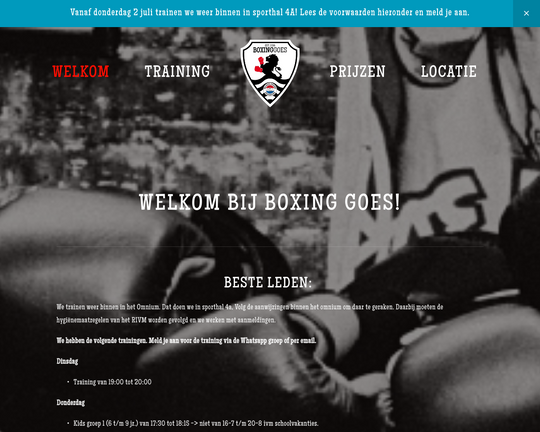 Boxing Goes Logo