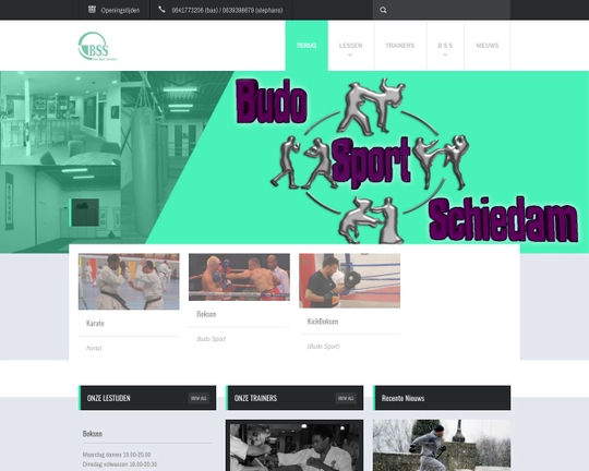 Budo Sport Logo