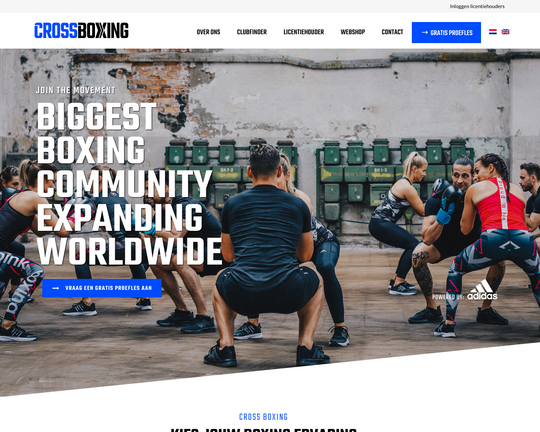 Cross Boxing Logo