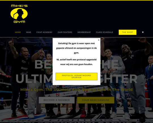 Mikes Gym Logo