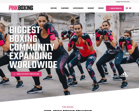 Pink Boxing Logo