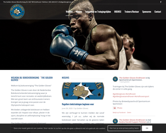 The Golden Gloves Logo